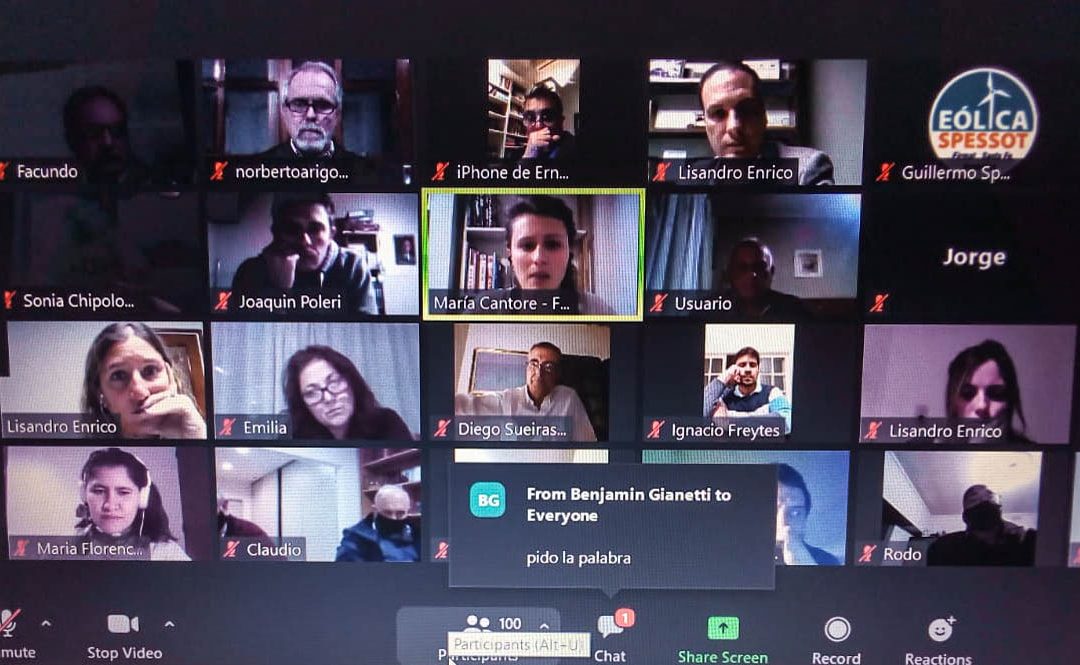 WEBINAR POR LA ENERGÍA RENOVABLE